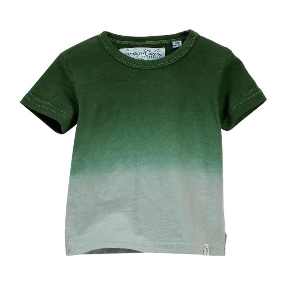 Sovereign code green ombré T-shirt